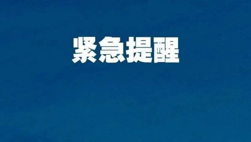 管家婆免费开奖,代表何小鹏：汽车产业正和机器人融合,最新核心解答落实_社交版V9.26